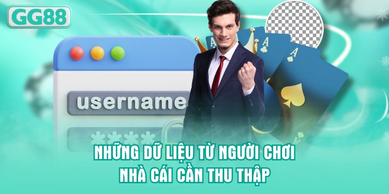 Những dữ liệu từ người chơi nhà cái cần thu thập
